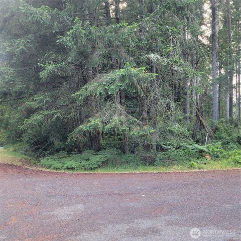 Photo of 8922 129th Avenue Ct, Anderson Island, WA 98303 (MLS # 2513493)
