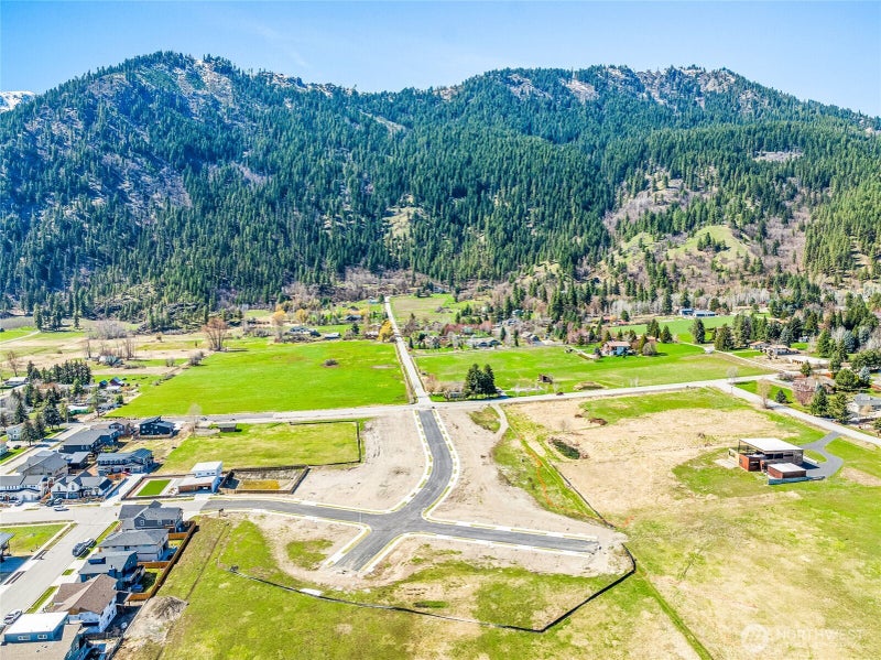 133 Alpenglow Drive