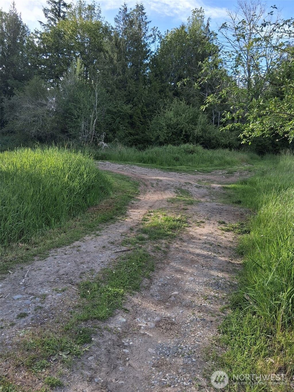 Photo of 15249 Martinson Road SE, Yelm, WA 98597 (MLS # 2531585)