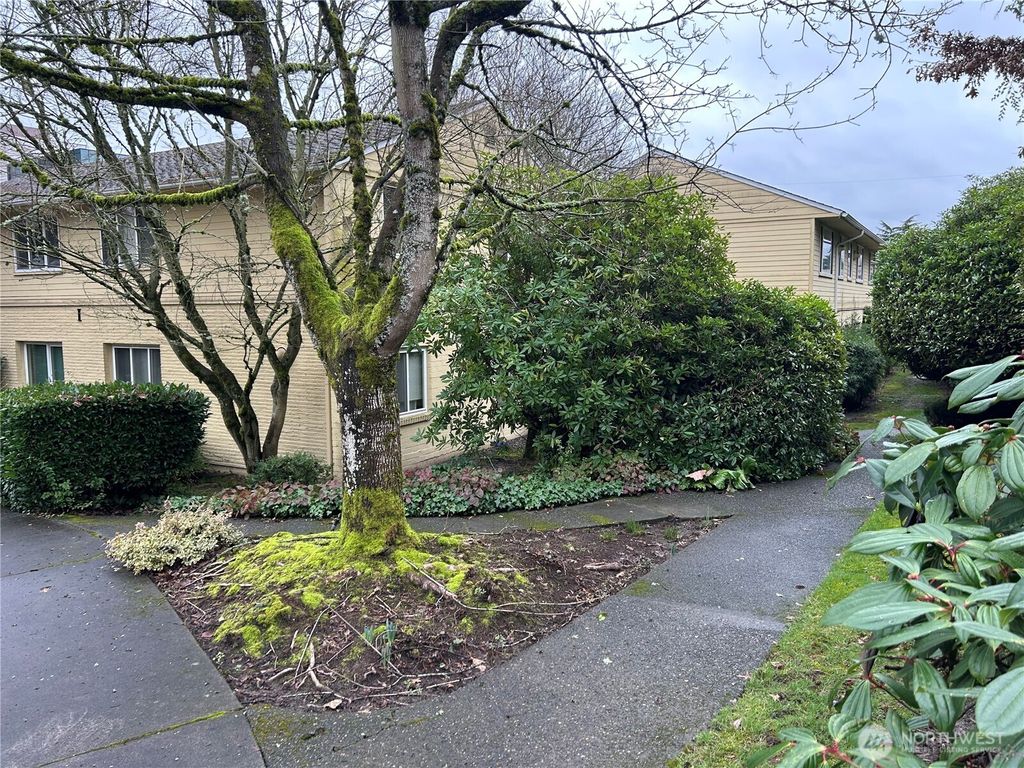 Photo of 4717 Terrace Drive NE #4717, Seattle, WA 98105 (MLS # 2467481)