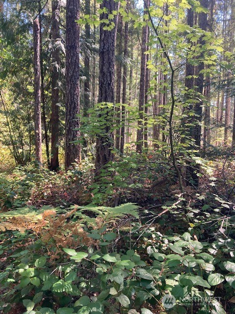 21 N Goldeneye Drive