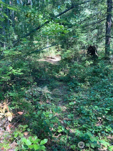 21 N Goldeneye Drive