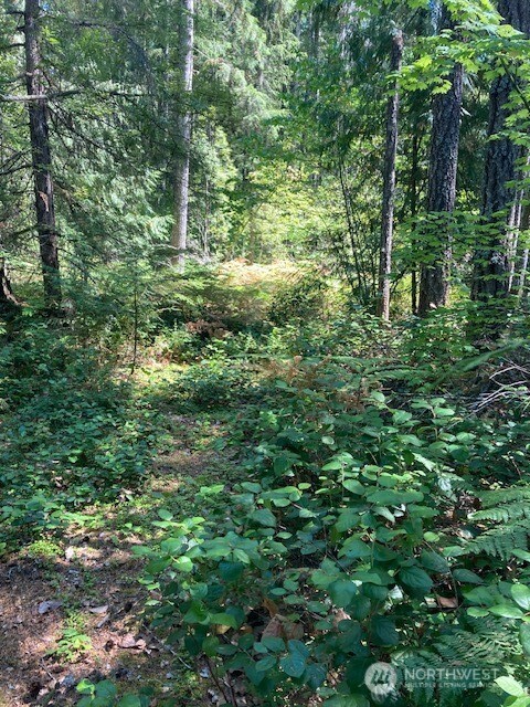 21 N Goldeneye Drive