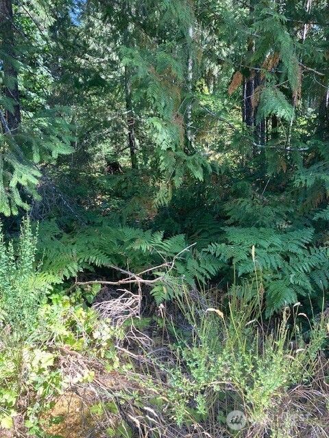 21 N Goldeneye Drive Hoodsport WA 98548