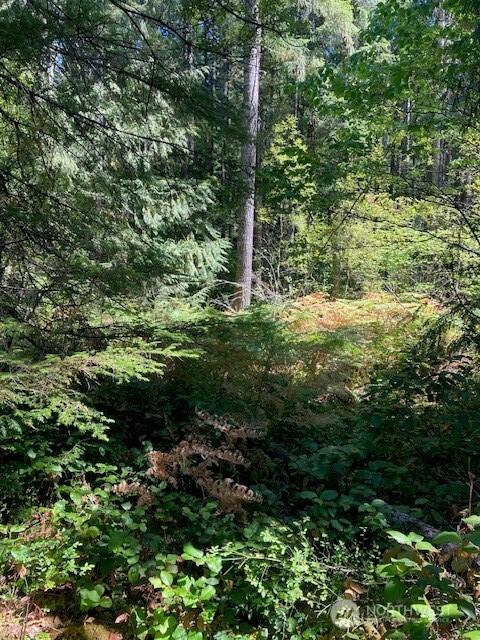 21 N Goldeneye Drive