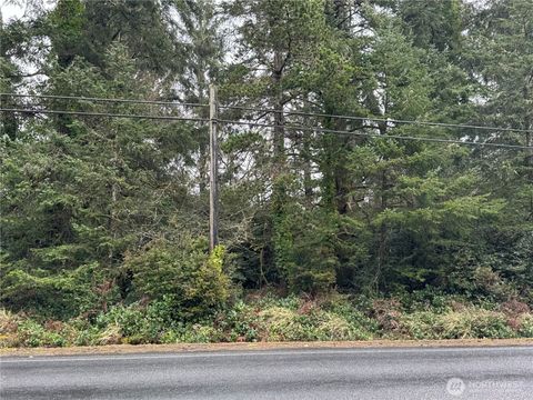 Photo of 0 Vernon Ave, Ocean Park, WA 98640 (MLS # 2345172)