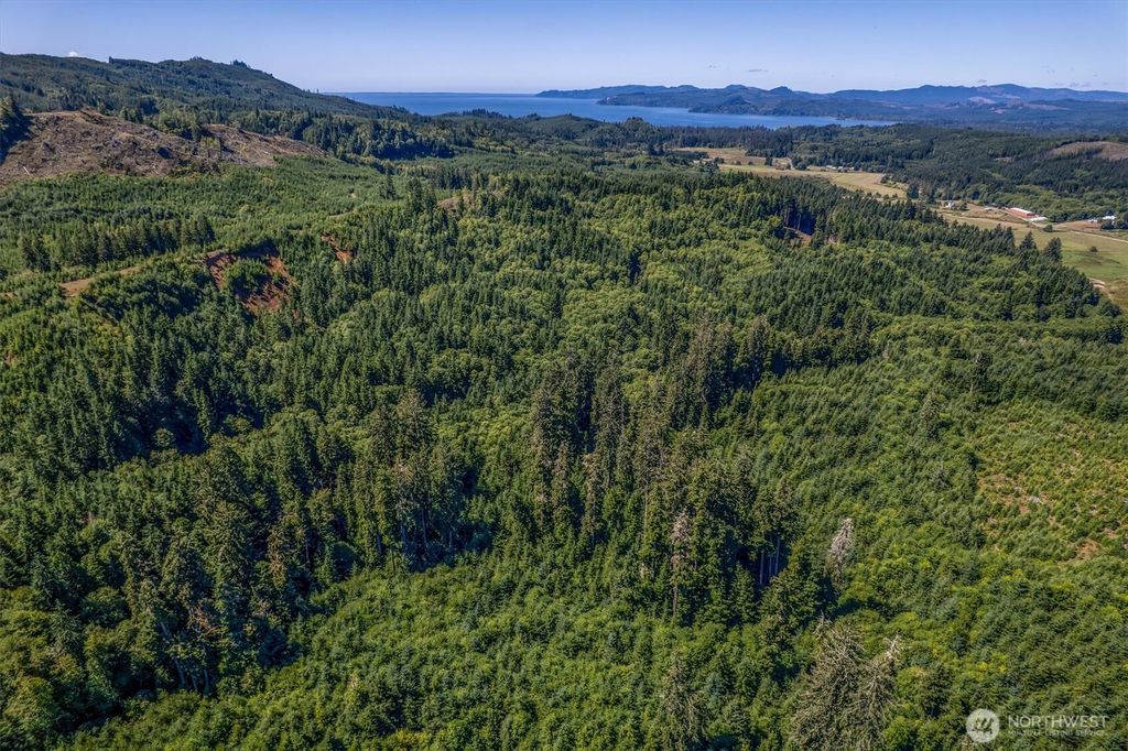 Photo of 1 Eden Valley Road, Rosburg, WA 98643 (MLS # 2528487)