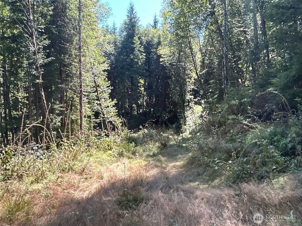 Photo of 1 Eden Valley Road, Rosburg, WA 98643 (MLS # 2528487)