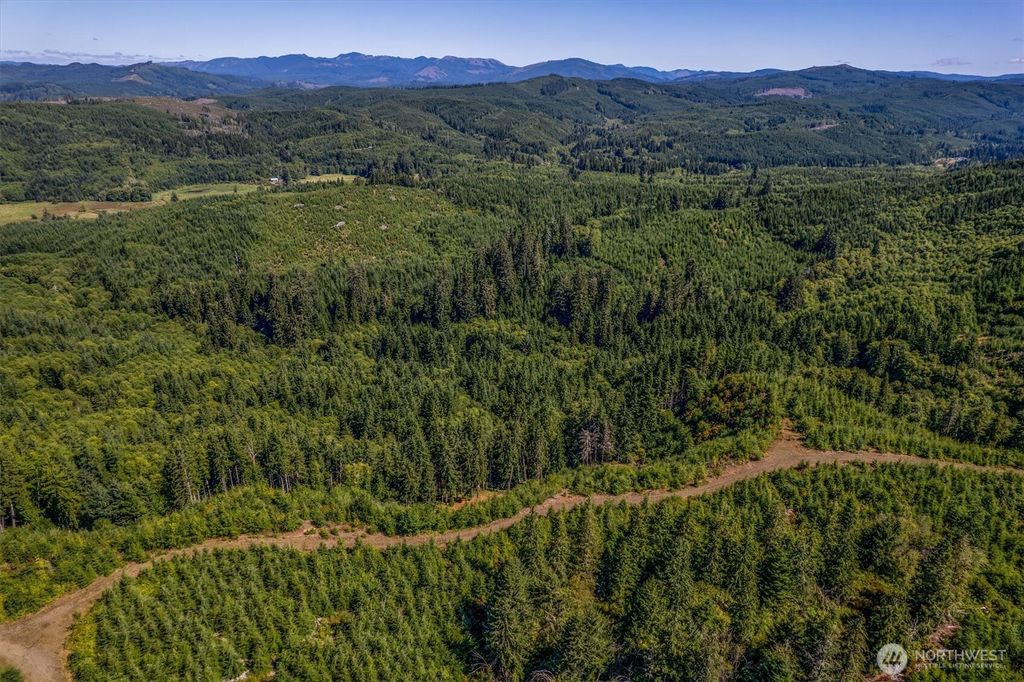 Photo of 1 Eden Valley Road, Rosburg, WA 98643 (MLS # 2528487)