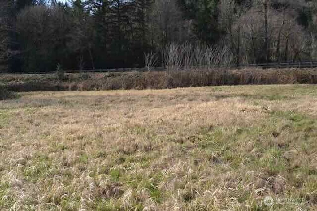 Photo of 0 US Hwy. 12, Morton, WA 98356 (MLS # 2486779)