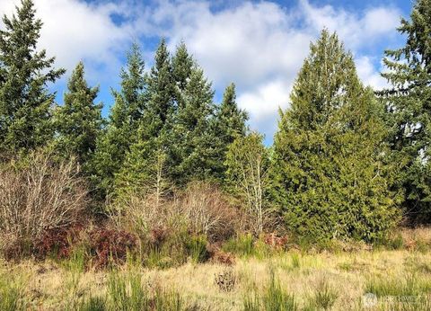 Photo of 14623 Lindsay Loop Se Loop, Yelm, WA 98597 (MLS # 2496002)