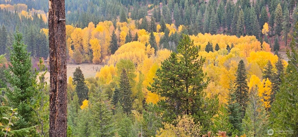 Photo of 11411 Shugart Flats Road, Leavenworth, WA 98826 (MLS # 2464858)