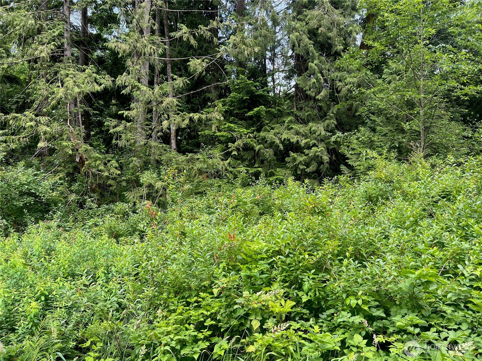 0 Cain Lake Road