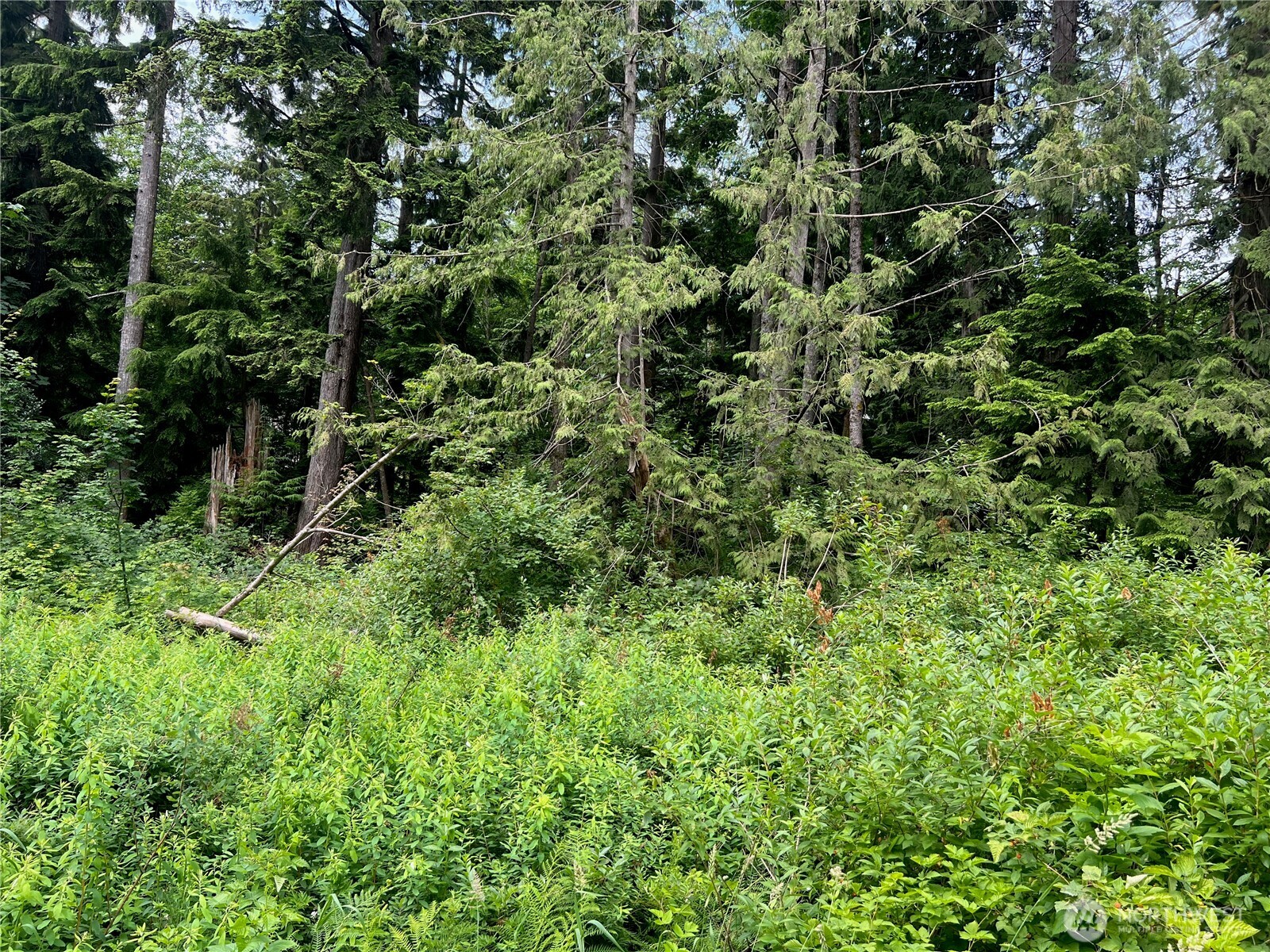 0 Cain Lake Road