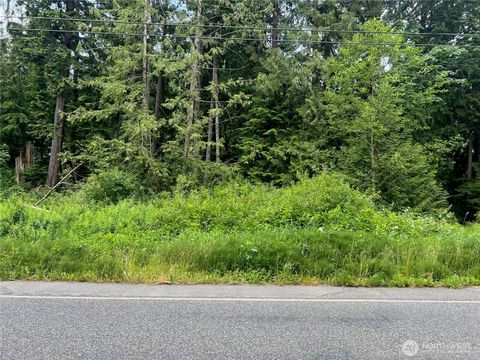 Photo of 0 Cain Lake Road, Sedro Woolley, WA 98284 (MLS # 2393392)