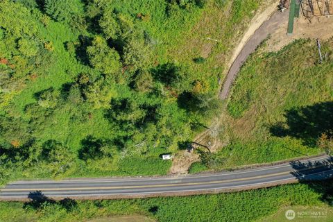 4255 State Route 508 Cinebar WA 98570