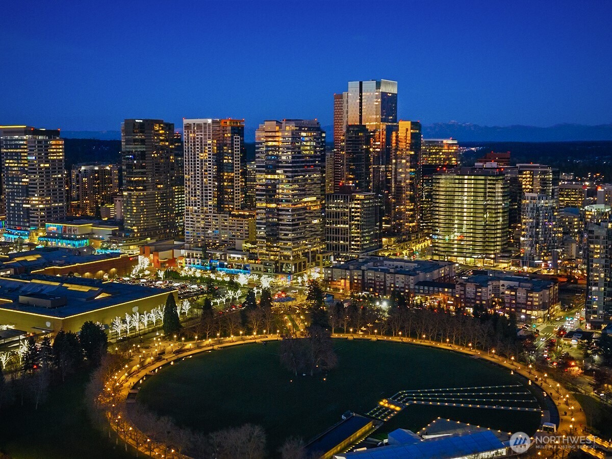 10700 NE 4th Street 2412