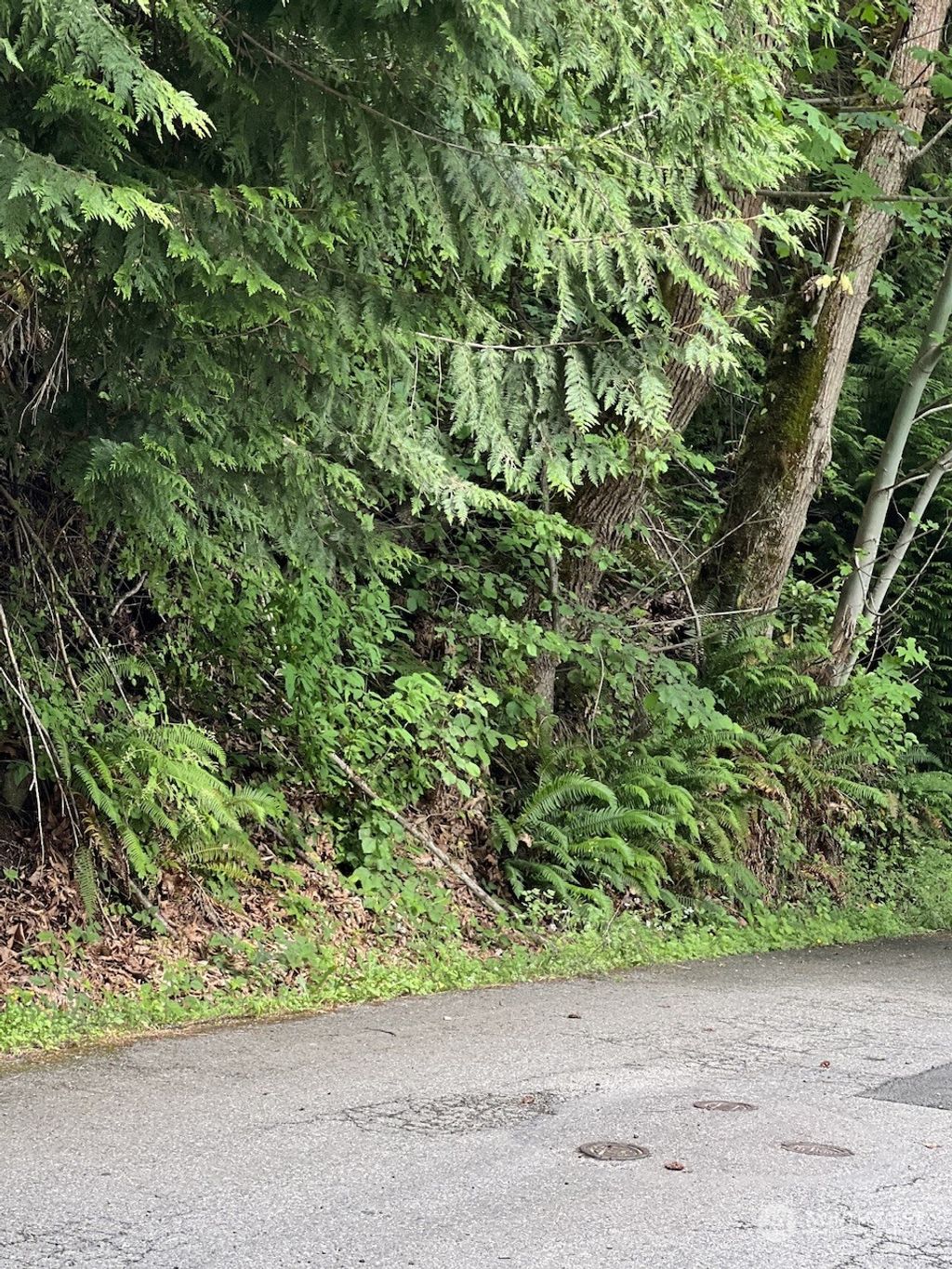 Photo of 8830 144th Place SE, Newcastle, WA 98059 (MLS # 2130864)