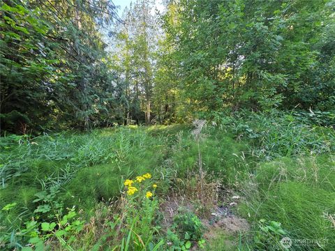 Photo of 151 E Lakeshore Drive E, Shelton, WA 98584 (MLS # 2410081)