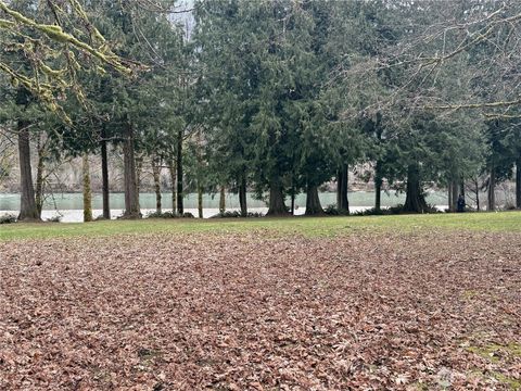 Photo of 37904 Theo Lane, Concrete, WA 98237 (MLS # 2485765)