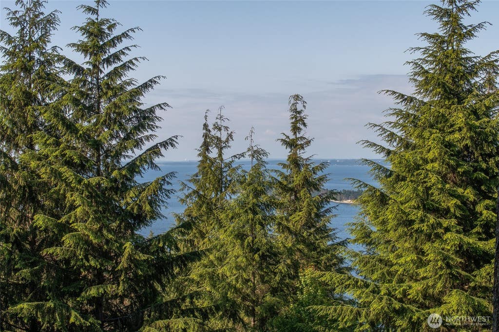 Photo of 41 Raven Lane, Orcas Island, WA 98279 (MLS # 2522075)