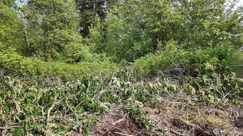 Photo of 0 S Lake Campbell Road, Anacortes, WA 98221 (MLS # 2509702)