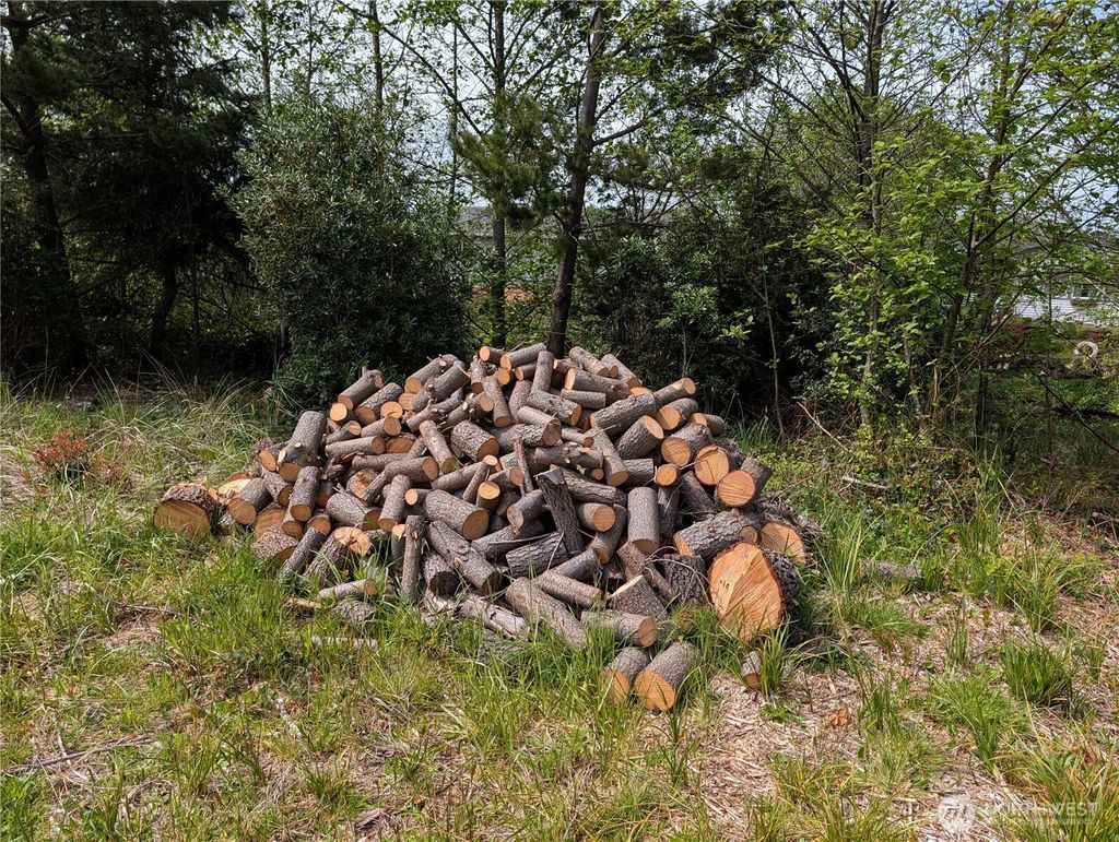 Photo of 30301 I Street Ct, Ocean Park, WA 98640 (MLS # 2514202)