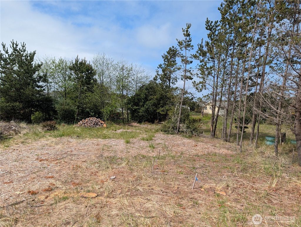 Photo of 30301 I Street Ct, Ocean Park, WA 98640 (MLS # 2514202)