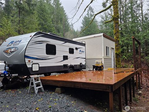 375 Arabian Drive Brinnon WA 98320