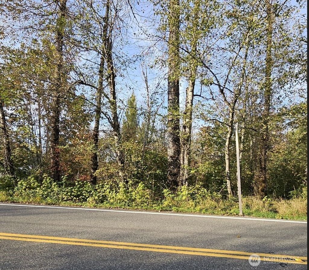 Photo of 32012 Retreat-Kanaskat Road SE, Ravensdale, WA 98051 (MLS # 2428787)