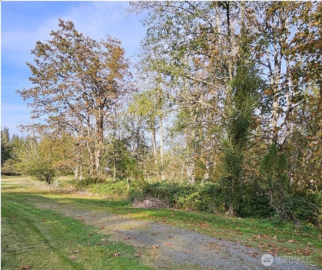 Photo of 32012 Retreat-Kanaskat Road SE, Ravensdale, WA 98051 (MLS # 2428787)