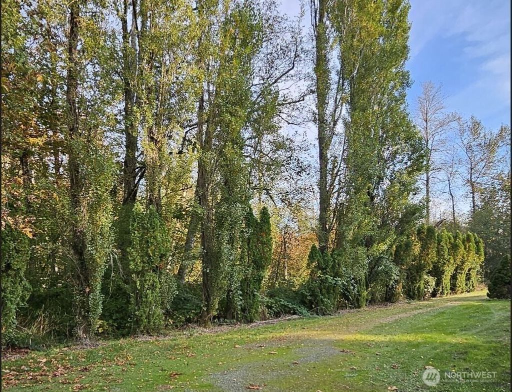 Photo of 32012 Retreat-Kanaskat Road SE, Ravensdale, WA 98051 (MLS # 2428787)