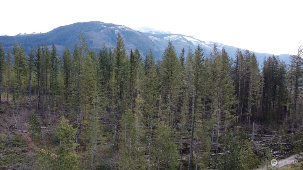 Photo of 0 426th Avenue SE, Gold Bar, WA 98251 (MLS # 2052599)