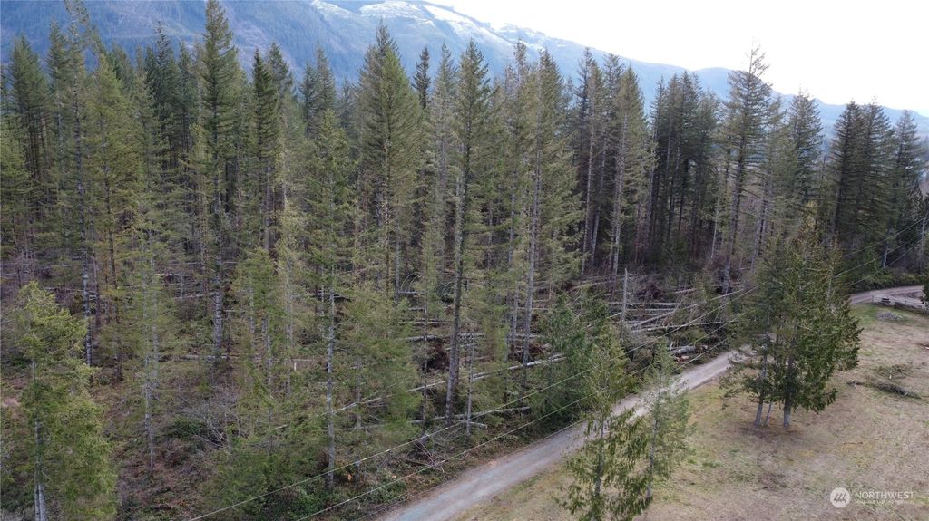 Photo of 0 426th Avenue SE, Gold Bar, WA 98251 (MLS # 2052599)