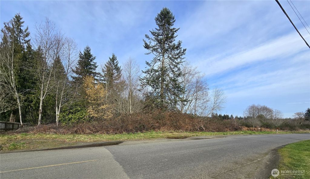 Photo of 0 Garden Hill Road E, Elma, WA 98541 (MLS # 2477270)