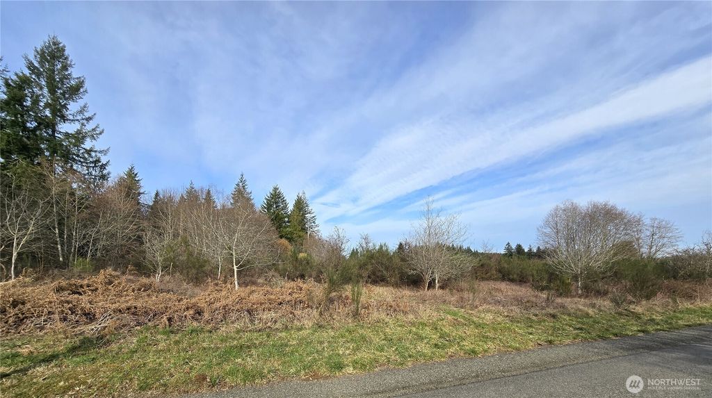 Photo of 0 Garden Hill Road E, Elma, WA 98541 (MLS # 2477270)