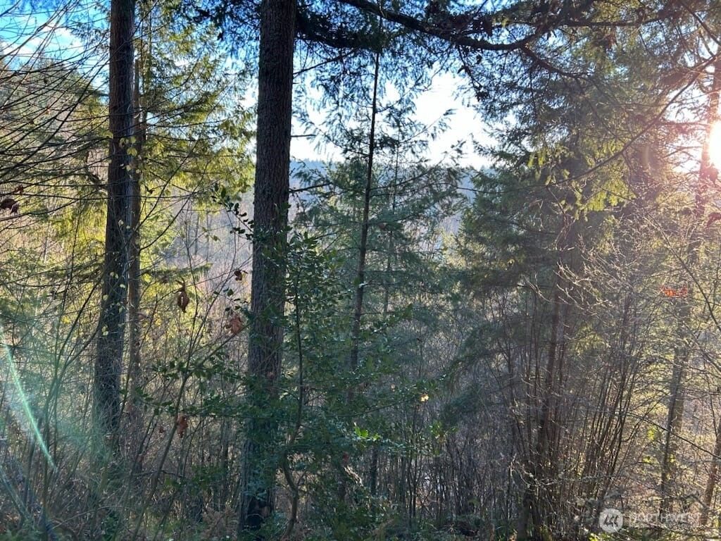 Photo of 194 XX SE Jones Road, Renton, WA 98058 (MLS # 2286733)