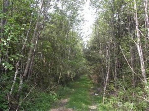 310 Oyler Road Ethel WA 98542