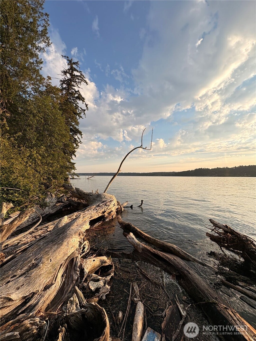 Photo of 0 Robinwood Road SW, Vashon, WA 98070 (MLS # 2566743)