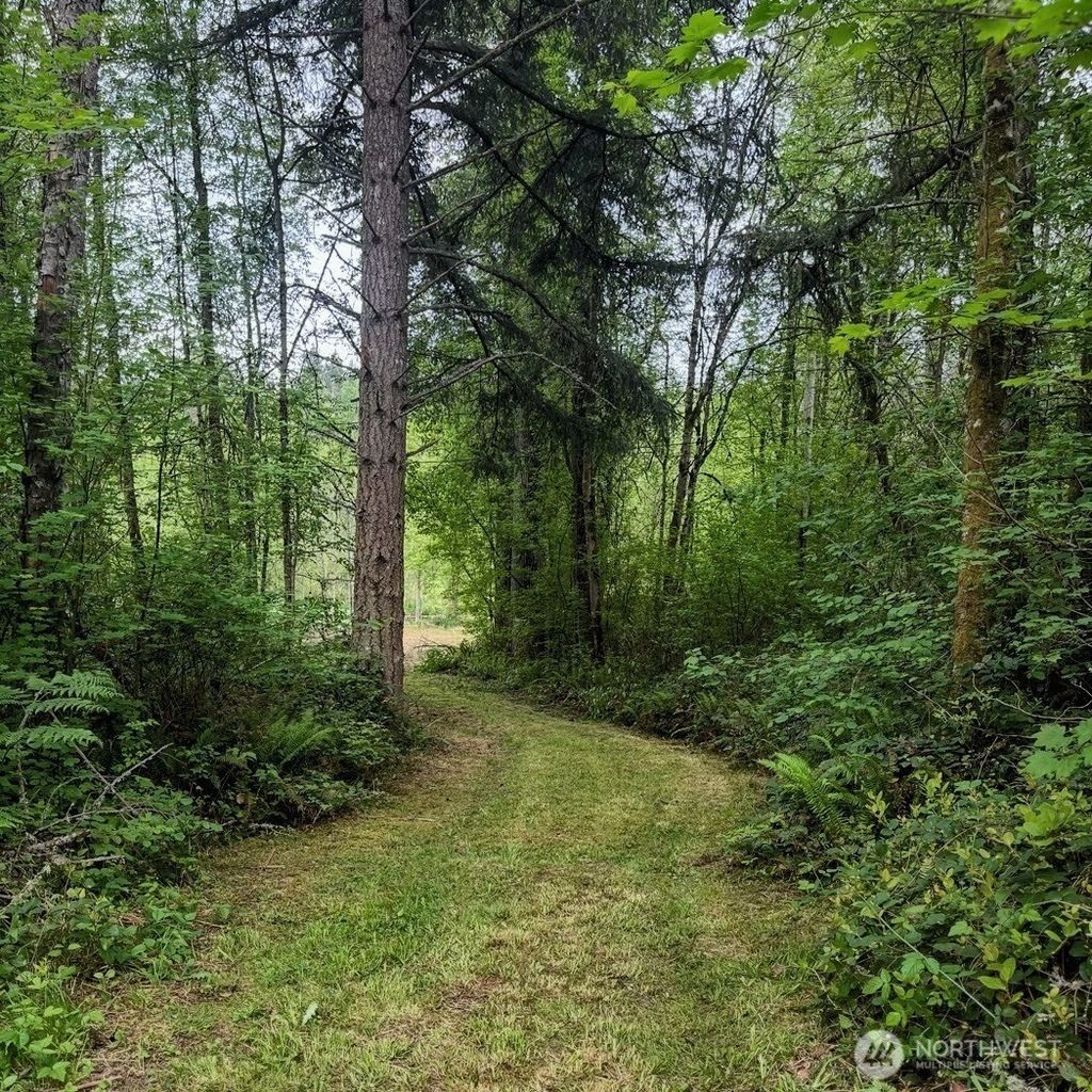 Photo of 34323 Tanwax Drive E, Eatonville, WA 98328 (MLS # 2502452)