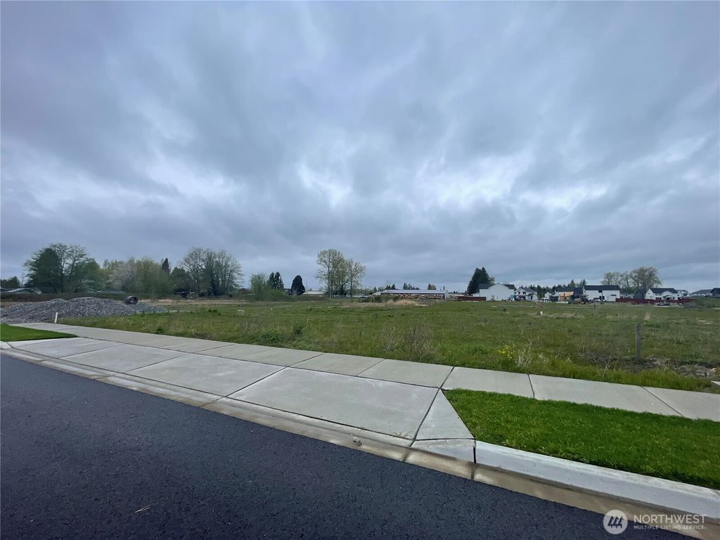 Photo of 388 Polska Street, Sedro Woolley, WA 98284 (MLS # 2502149)