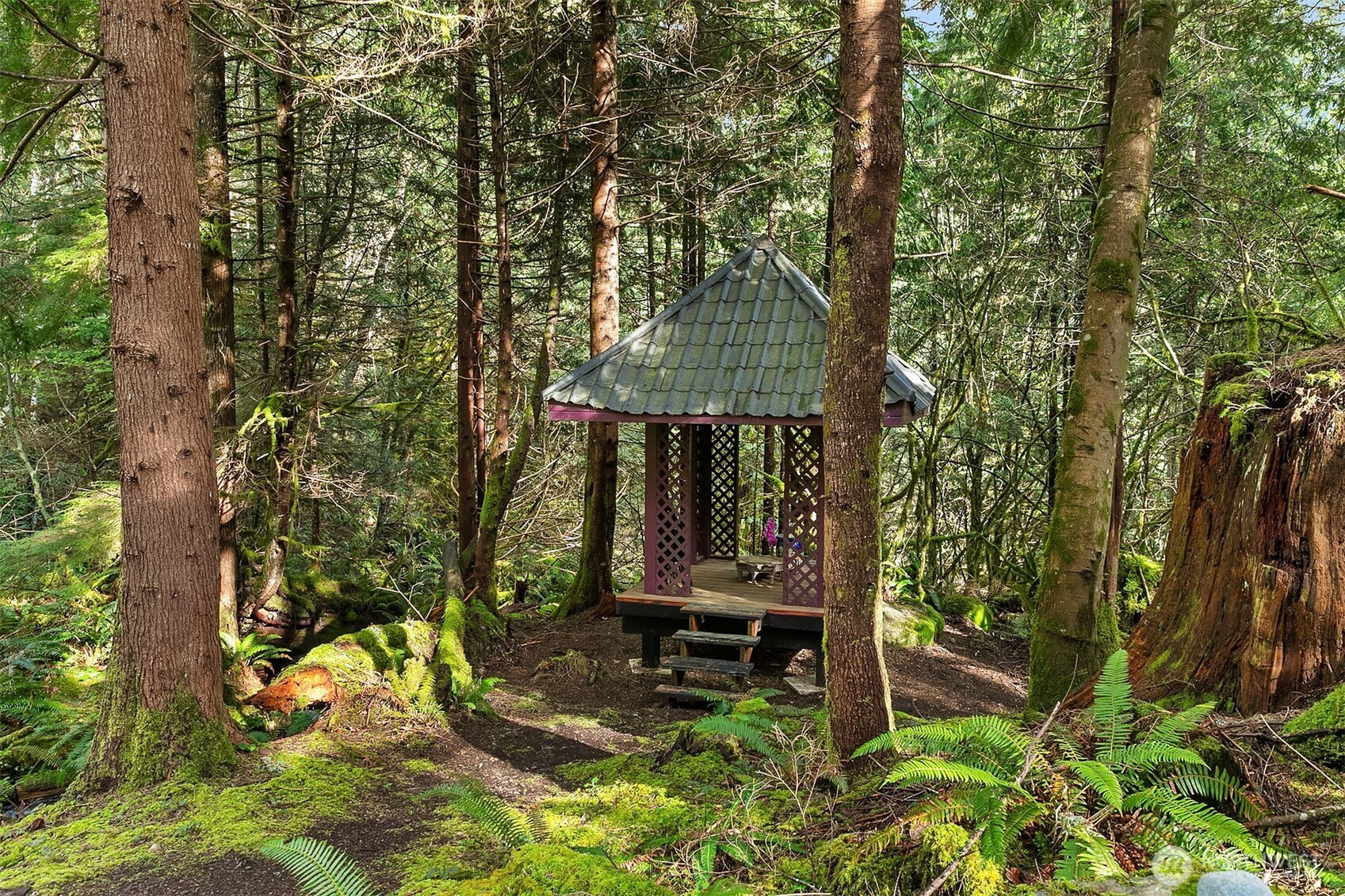 46717 SE 119th Street