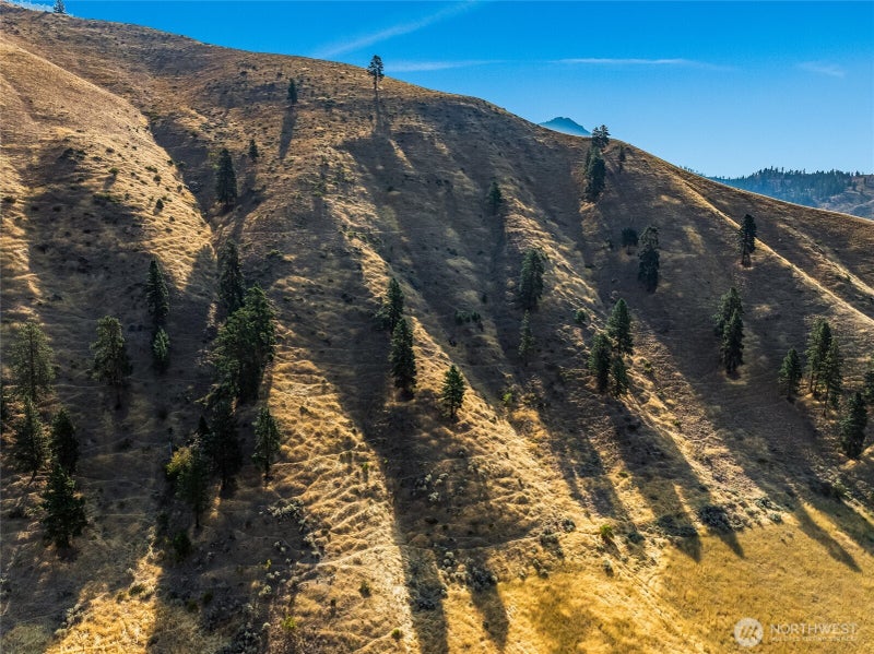 0 NAHAHUM CANYON Road