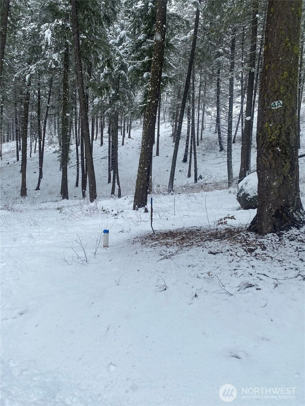 Photo of 36 Liberty Lane Lane, Winthrop, WA 98862 (MLS # 2509691)