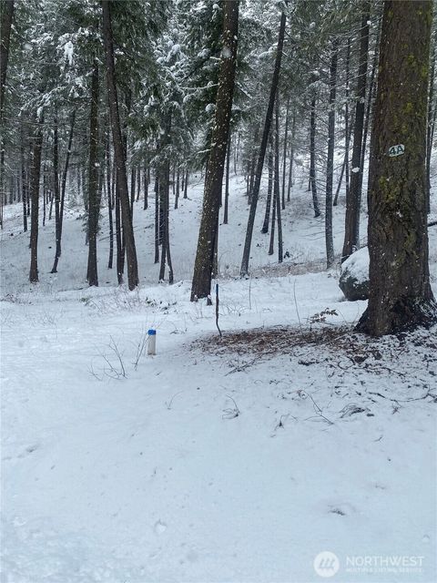 Photo of 36 Liberty Lane, Winthrop, WA 98862 (MLS # 2509691)