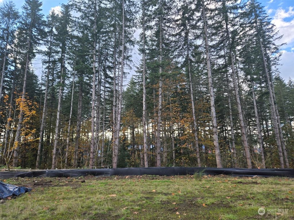 Photo of 23864 Site 191 SE Sequoia Street, Black Diamond, WA 98010 (MLS # 2306594)