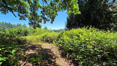 Photo of 123 Mulford Street, Toledo, WA 98591 (MLS # 2557294)