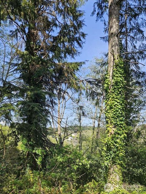 Photo of 0 Ninth Avenue, Aberdeen, WA 98520 (MLS # 2365648)