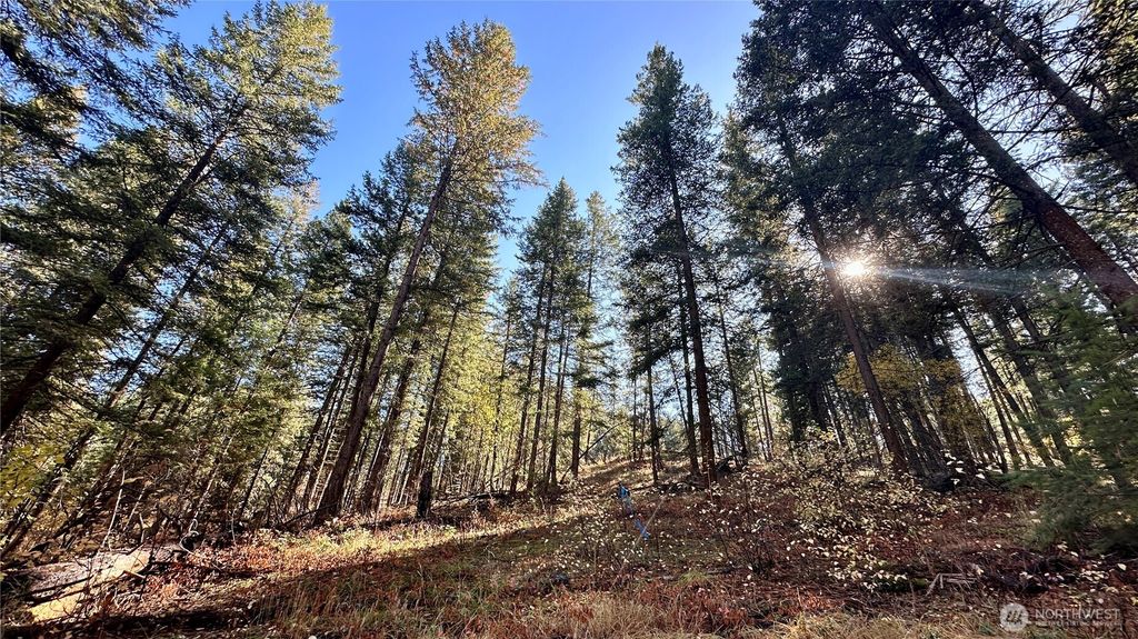 Photo of 142 C Red Pine Court, Winthrop, WA 98862 (MLS # 2505927)