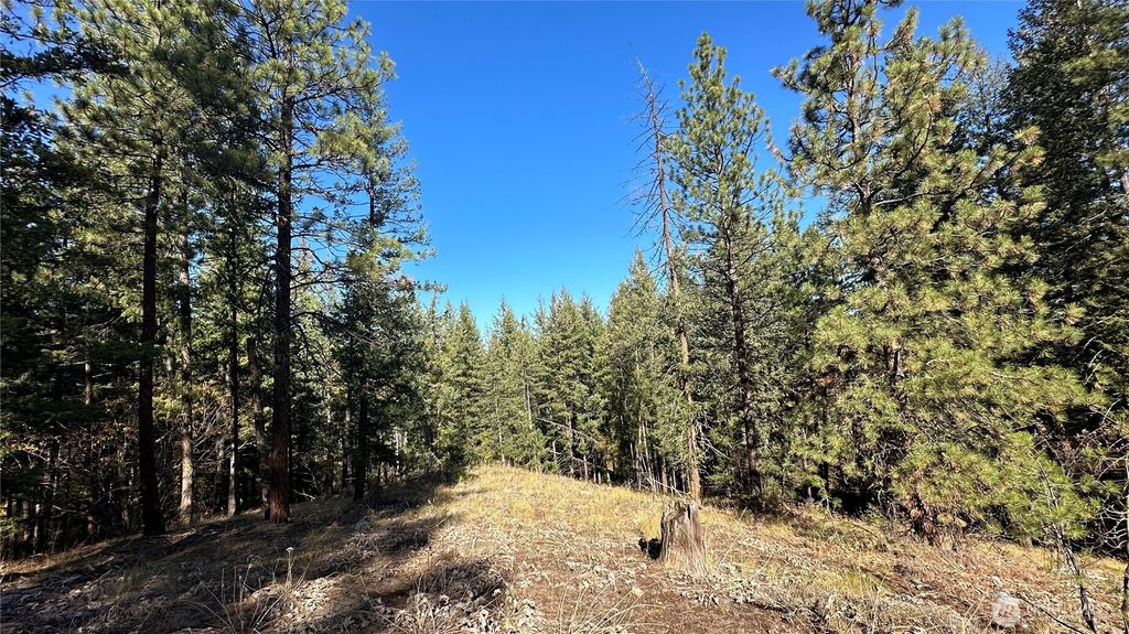 Photo of 142 C Red Pine Court, Winthrop, WA 98862 (MLS # 2505927)